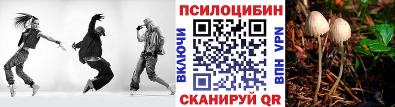 Псилоцибиновые грибы Psilocybine cubensis  купить наркотики сайты  Калязин 